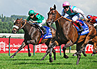 Classy Romantica Tallies French Group I Win Classy Romantica Tallies French Group I Win