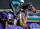 Juddmonte Seeks Fourth Filly and Mare Turf Juddmonte Seeks Fourth Filly and Mare Turf