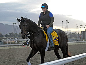 Ron the Greek Out of Breeders' Cup Classic Ron the Greek Out of Breeders' Cup Classic