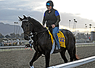 Ron the Greek Out of Breeders' Cup Classic Ron the Greek Out of Breeders' Cup Classic