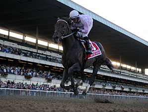 Gold Cup's Top Trio Likely for BC Classic Gold Cup's Top Trio Likely for BC Classic