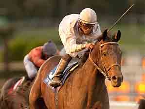 Jockey Club Gold Cup Contenders, Others Work