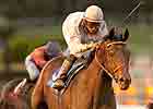 Jockey Club Gold Cup Contenders, Others Work