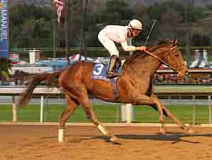 Six Grade I Winners in Jockey Club Gold Cup Six Grade I Winners in Jockey Club Gold Cup