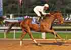 Six Grade I Winners in Jockey Club Gold Cup Six Grade I Winners in Jockey Club Gold Cup