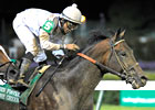 Ron the Greek Heads 9-Horse Whitney Field