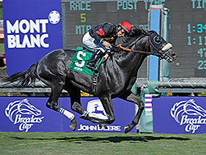Stronach's Rookie Sensation Takes Twilight Stronach's Rookie Sensation Takes Twilight