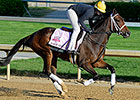 Room Service Ships West for American Oaks Room Service Ships West for American Oaks