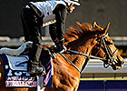 Owner Struder Has Rosy Outlook for Rosalind Owner Struder Has Rosy Outlook for Rosalind