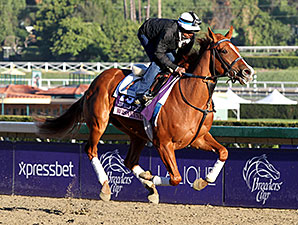 Rosalind Heads Hollywood Starlet Rosalind Heads Hollywood Starlet
