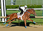 Rosalind Gets Maintenance Work in Oaks Prep Rosalind Gets Maintenance Work in Oaks Prep