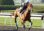 Rosalind Works Toward Kentucky Oaks Rosalind Works Toward Kentucky Oaks