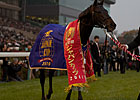 Japan Cup Goes to Rose Kingdom Via DQ Japan Cup Goes to Rose Kingdom Via DQ