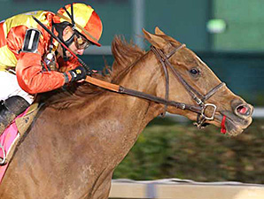 Rose to Gold Rises to Ladies Classic Test Rose to Gold Rises to Ladies Classic Test