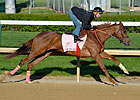 Rose to Gold Lone Friday Oaks Worker Rose to Gold Lone Friday Oaks Worker
