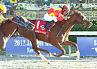 Rose to Gold Rules Dirt in Delta Princess Rose to Gold Rules Dirt in Delta Princess