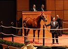 Figures Decline at F-T Winter Mixed Sale Figures Decline at F-T Winter Mixed Sale