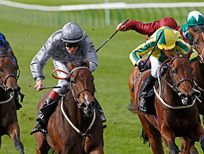 Rosdhu Queen Makes All in Cheveley Park Rosdhu Queen Makes All in Cheveley Park