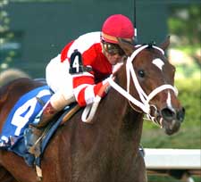 Round Pond Romping Winner of Fantasy Round Pond Romping Winner of Fantasy