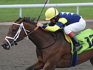 Roxy Gap Favored for Gulfstream Park Opener Roxy Gap Favored for Gulfstream Park Opener