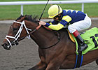Roxy Gap Favored for Gulfstream Park Opener