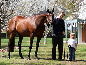 Top International Sire Royal Academy Dies Top International Sire Royal Academy Dies