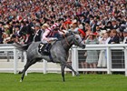 Slideshow: Royal Ascot 2013 Slideshow: Royal Ascot 2013