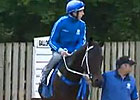 Royal Ascot Preview - Day 5