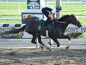 Fleur de Lis: Champ Royal Delta Faces Four Fleur de Lis: Champ Royal Delta Faces Four