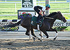 Royal Delta Breezes at Belmont Park Royal Delta Breezes at Belmont Park