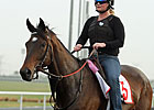 Mott Says Royal Delta is Feeling Sassy
