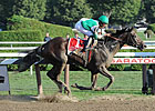 Female Handicap Division Heating Up