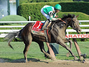 Royal Delta, Winchester Work at Belmont Royal Delta, Winchester Work at Belmont