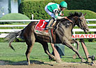 Royal Delta, Winchester Work at Belmont