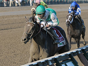 Royal Delta Exacts Revenge in Alabama Royal Delta Exacts Revenge in Alabama