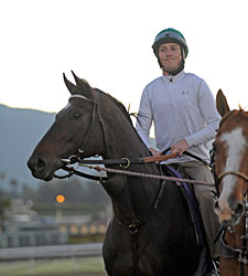 Mott: Royal Delta's Cut Superficial Mott: Royal Delta's Cut Superficial