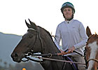 Mott: Royal Delta's Cut Superficial