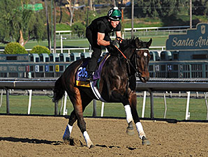 Podcast: Eclipse Awards 2013: Older Divisions Podcast: Eclipse Awards 2013: Older Divisions