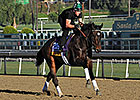 Podcast: Eclipse Awards 2013: Older Divisions Podcast: Eclipse Awards 2013: Older Divisions