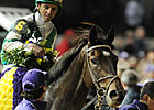 Royal Delta Reunited With Trainer Mott Royal Delta Reunited With Trainer Mott