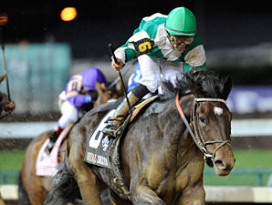 Royal Delta Seeks Rebound in Fleur de Lis Royal Delta Seeks Rebound in Fleur de Lis