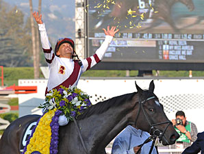 On 2nd Thought ... Breeders' Cup Distaff Back On 2nd Thought ... Breeders' Cup Distaff Back