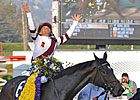 On 2nd Thought ... Breeders' Cup Distaff Back On 2nd Thought ... Breeders' Cup Distaff Back