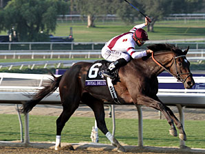 Royal Delta Takes on Four Rivals in Sabin