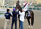Mott: Royal Delta G-R-E-A-T After Victory