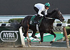 Stellar Field of Six in Breeders' Cup Distaff Stellar Field of Six in Breeders' Cup Distaff