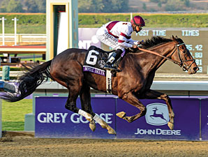 Champion Older Female: Royal Delta Champion Older Female: Royal Delta