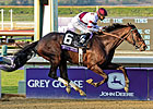 Champion Older Female: Royal Delta Champion Older Female: Royal Delta