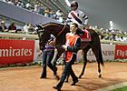 Reflecting on Royal Delta's Dubai World Cup Reflecting on Royal Delta's Dubai World Cup