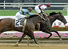 Royal Delta Seeks Redemption in Del 'Cap